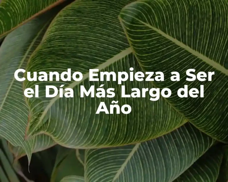 Cuando Empieza a Ser el Día Más Largo del Año