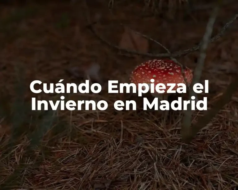 Cuándo Empieza el Invierno en Madrid