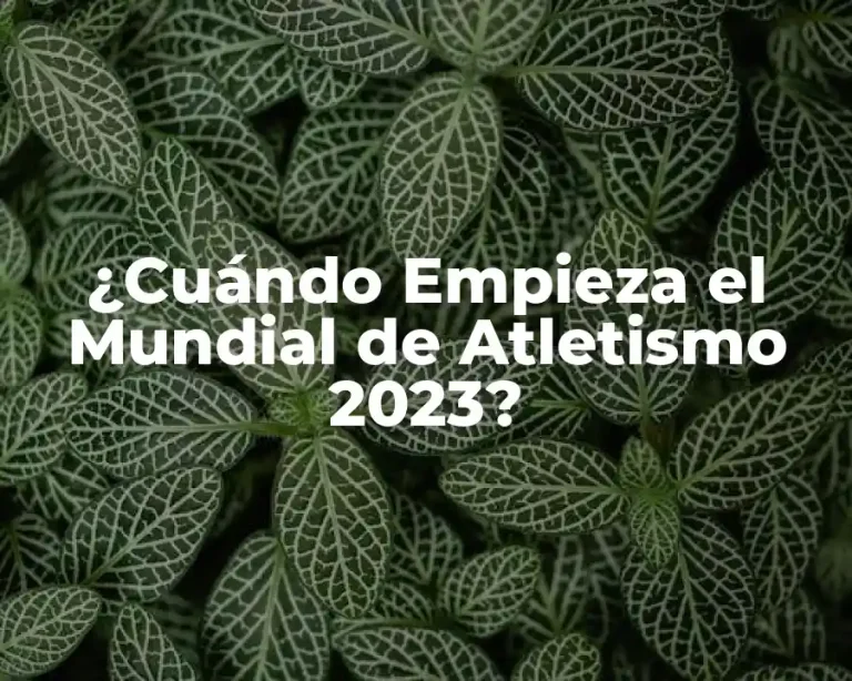 ¿Cuándo Empieza el Mundial de Atletismo 2023?