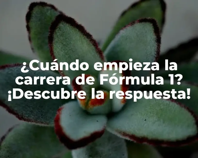 ¿Cuándo empieza la carrera de Fórmula 1? ¡Descubre la respuesta!