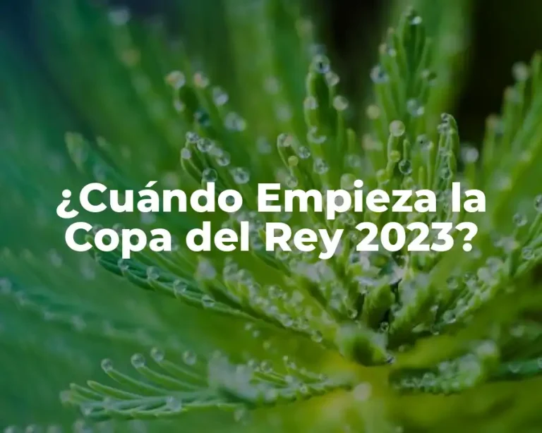¿Cuándo Empieza la Copa del Rey 2023?