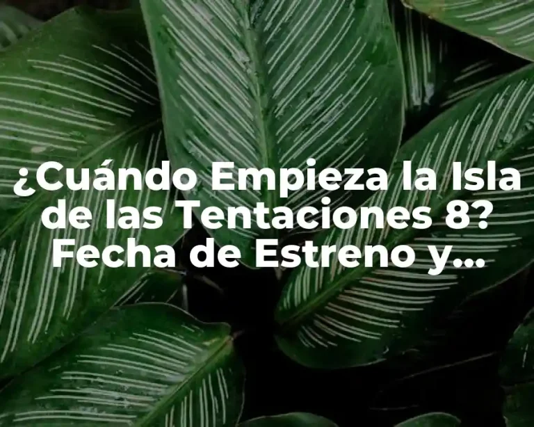 ¿Cuándo Empieza la Isla de las Tentaciones 8? Fecha de Estreno y Detalles