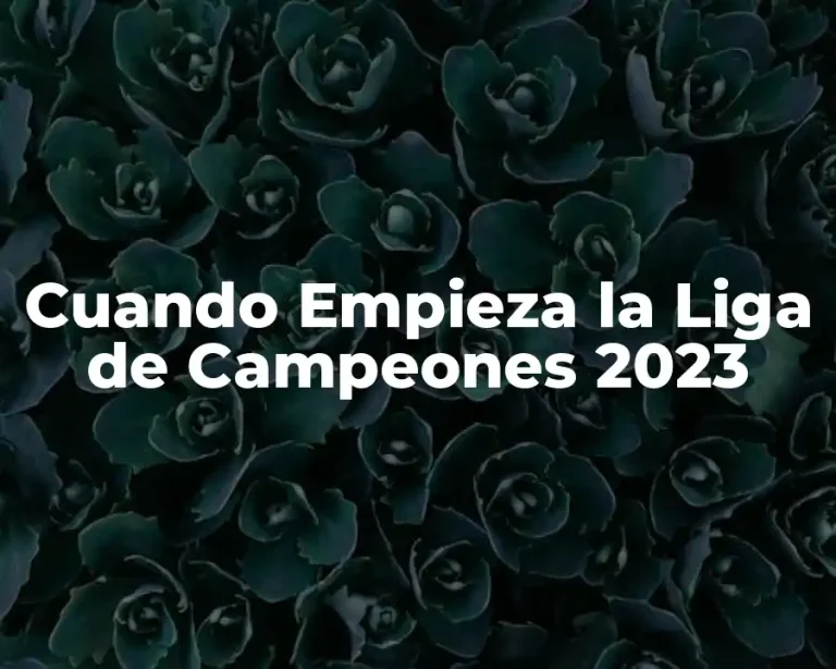 Cuando Empieza la Liga de Campeones 2023