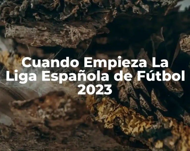 Cuando Empieza La Liga Española de Fútbol 2023
