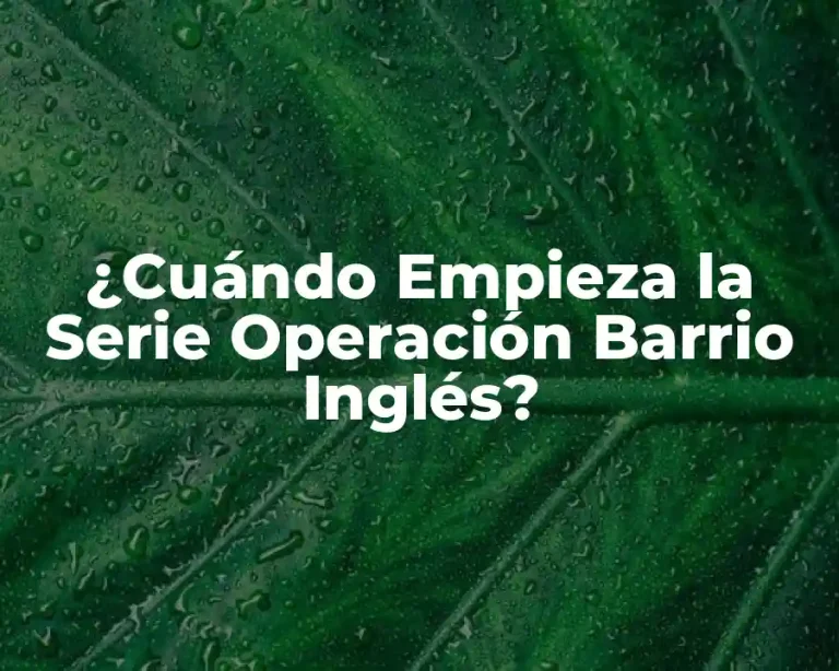 ¿Cuándo Empieza la Serie Operación Barrio Inglés?