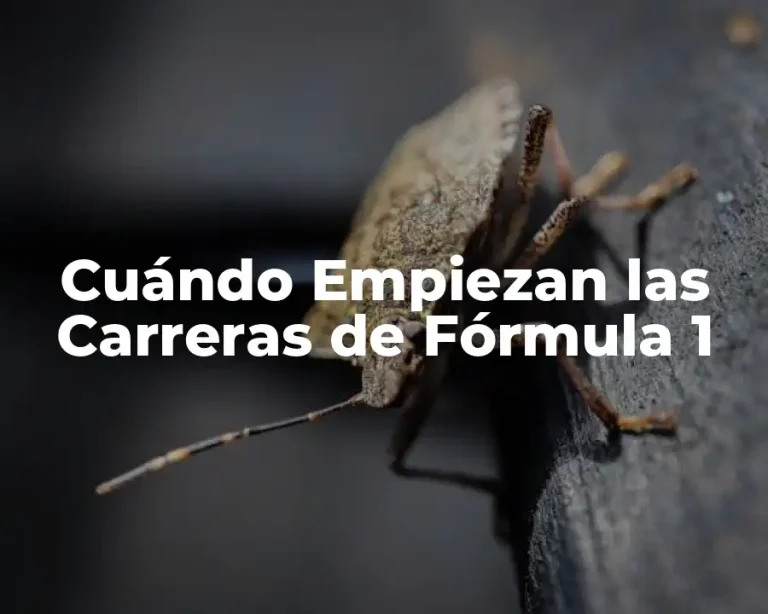 Cuándo Empiezan las Carreras de Fórmula 1