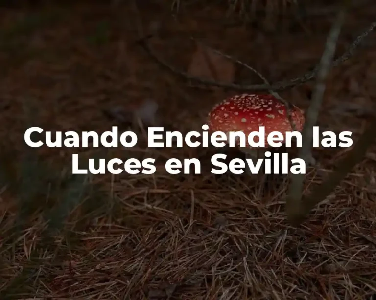 Cuando Encienden las Luces en Sevilla