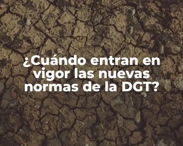 ¿Cuándo entran en vigor las nuevas normas de la DGT?