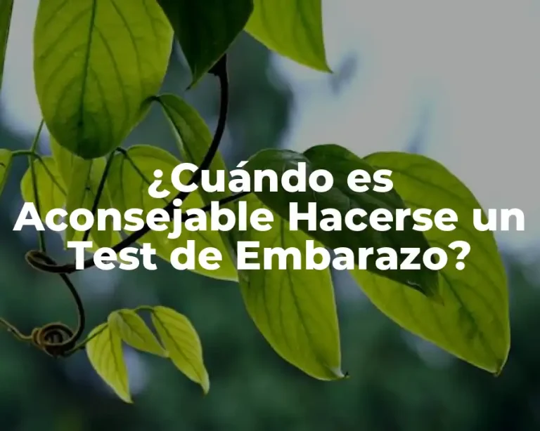 ¿Cuándo es Aconsejable Hacerse un Test de Embarazo?