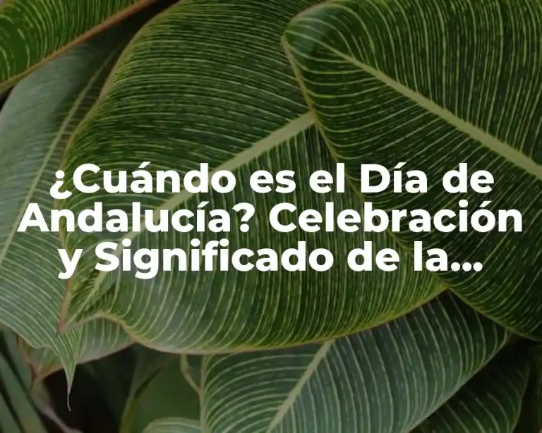 ¿Cuándo es el Día de Andalucía? Celebración y Significado de la Fiesta Andaluza