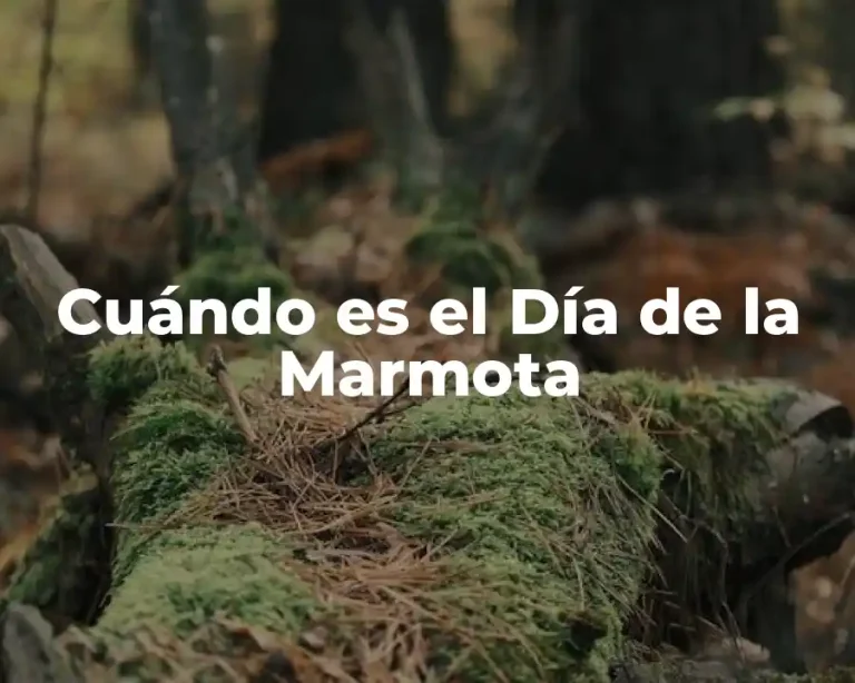 Cuándo es el Día de la Marmota