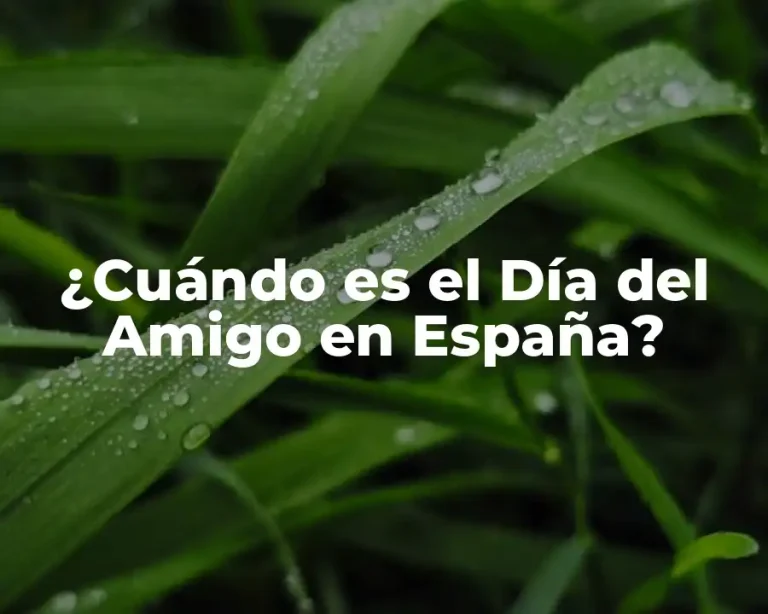 ¿Cuándo es el Día del Amigo en España?
