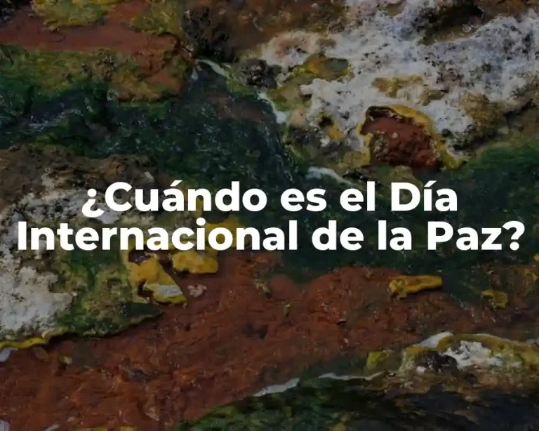 ¿Cuándo es el Día Internacional de la Paz?