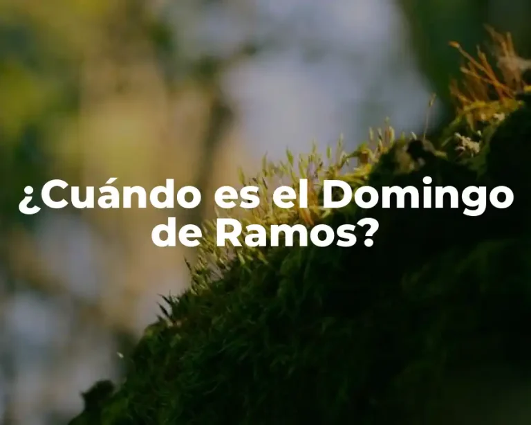 ¿Cuándo es el Domingo de Ramos?