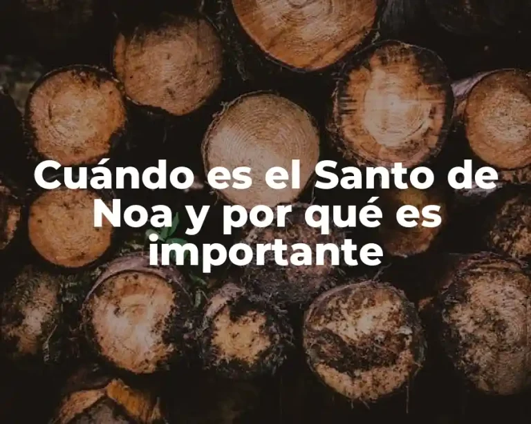 Cuándo es el Santo de Noa y por qué es importante