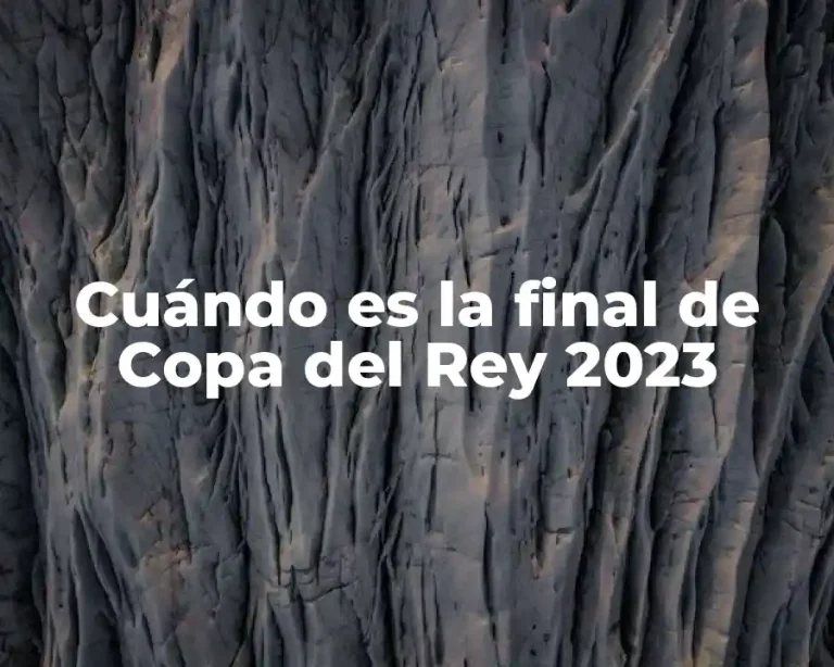 Cuándo es la final de Copa del Rey 2023