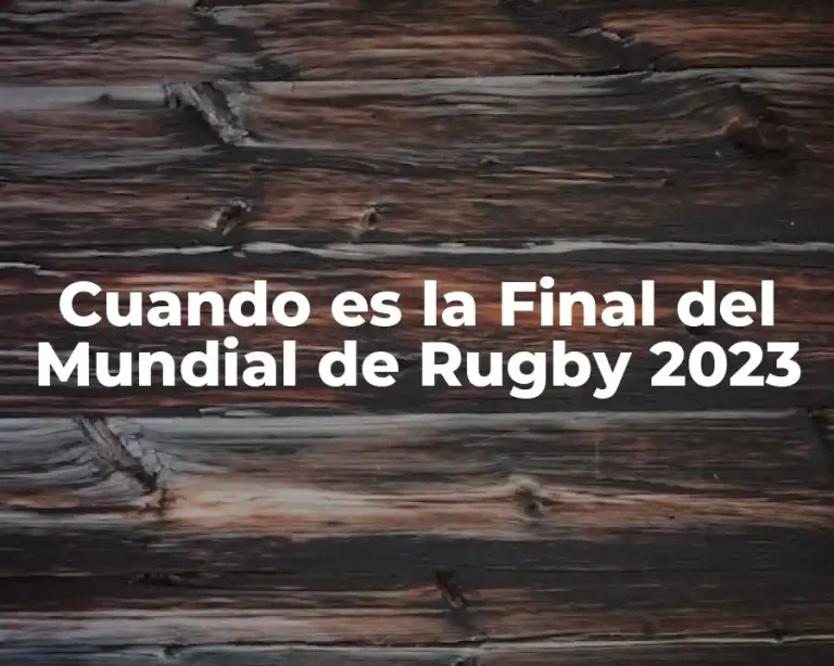 Cuando es la Final del Mundial de Rugby 2023