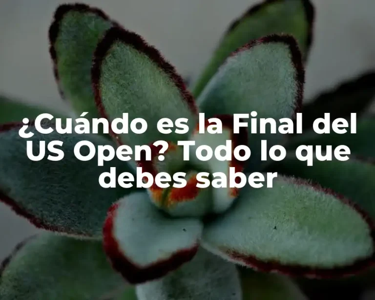 ¿Cuándo es la Final del US Open? Todo lo que debes saber