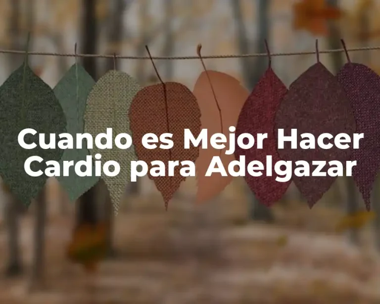 Cuando es Mejor Hacer Cardio para Adelgazar