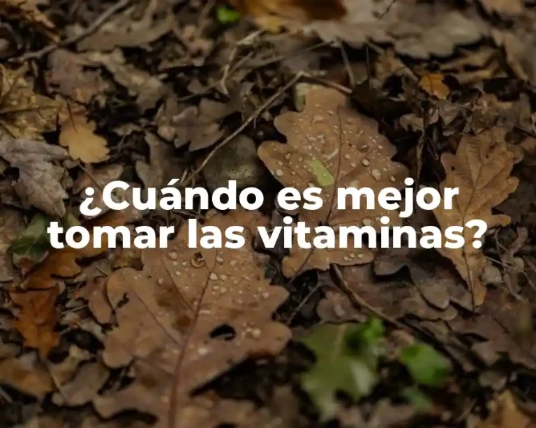 ¿Cuándo es mejor tomar las vitaminas?