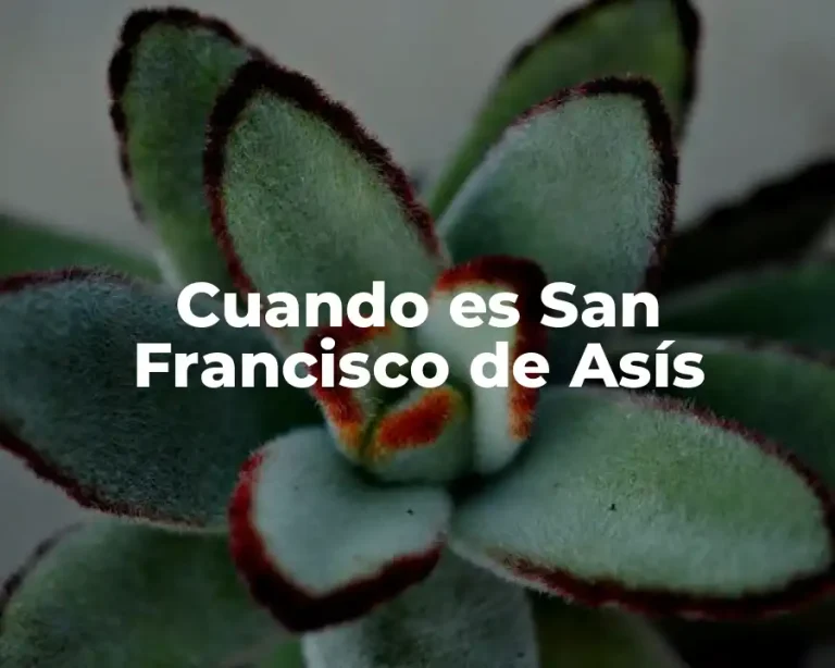 Cuando es San Francisco de Asís