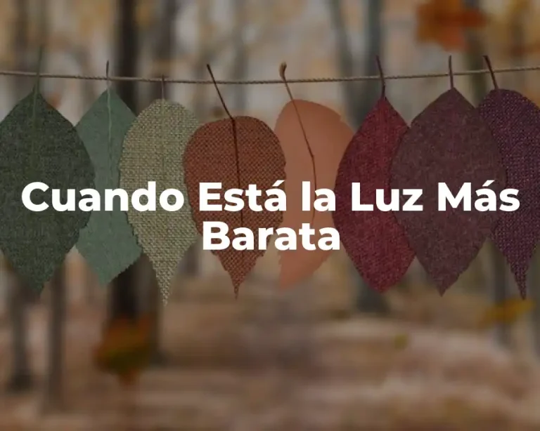 Cuando Está la Luz Más Barata