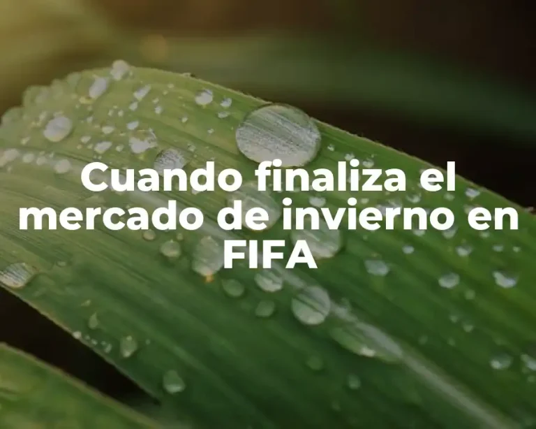 Cuando finaliza el mercado de invierno en FIFA