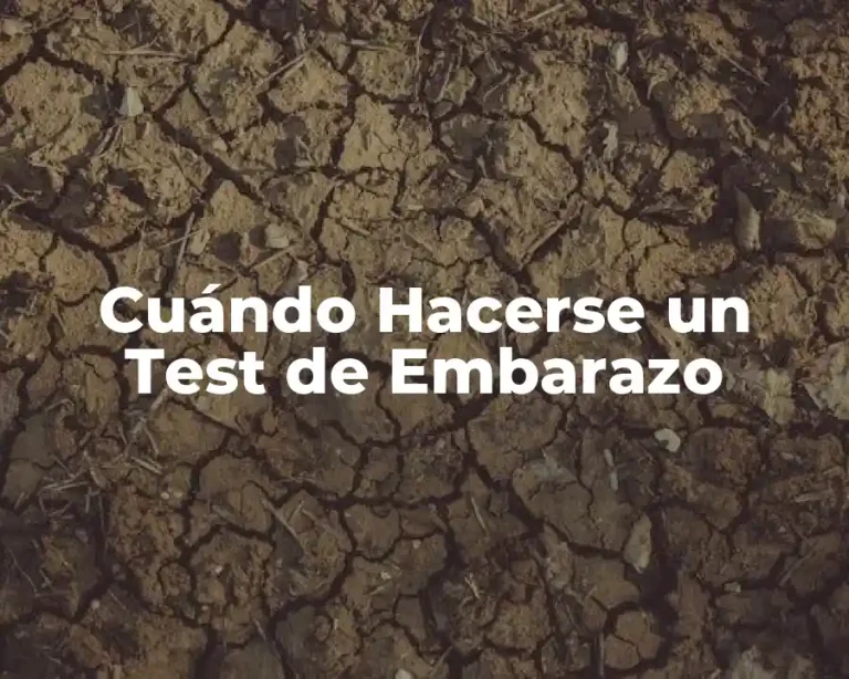 Cuándo Hacerse un Test de Embarazo