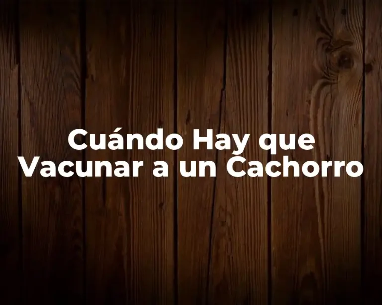 Cuándo Hay que Vacunar a un Cachorro