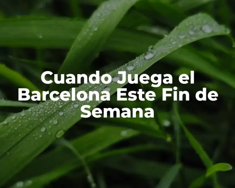 Cuando Juega el Barcelona Este Fin de Semana