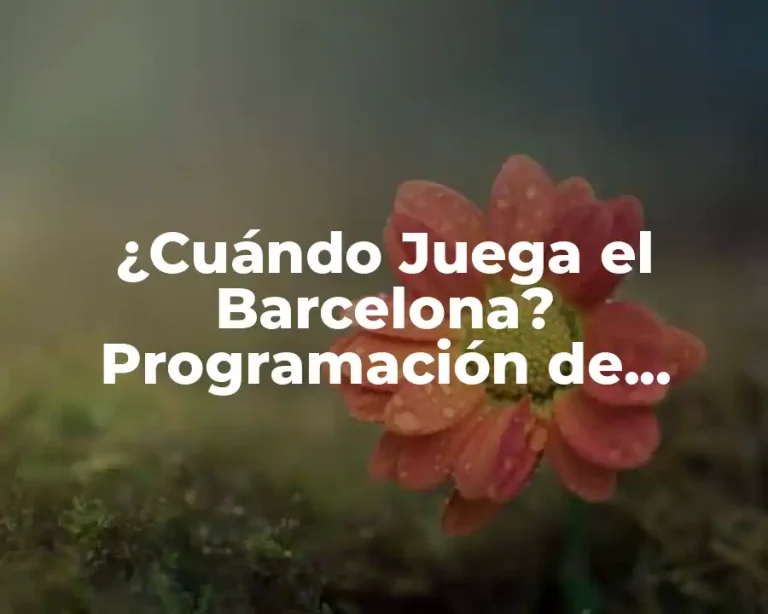 ¿Cuándo Juega el Barcelona? Programación de Partidos y Horarios de Fútbol