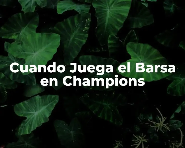 Cuando Juega el Barsa en Champions