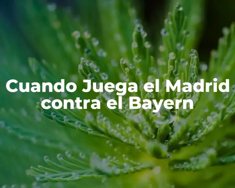 Cuando Juega el Madrid contra el Bayern
