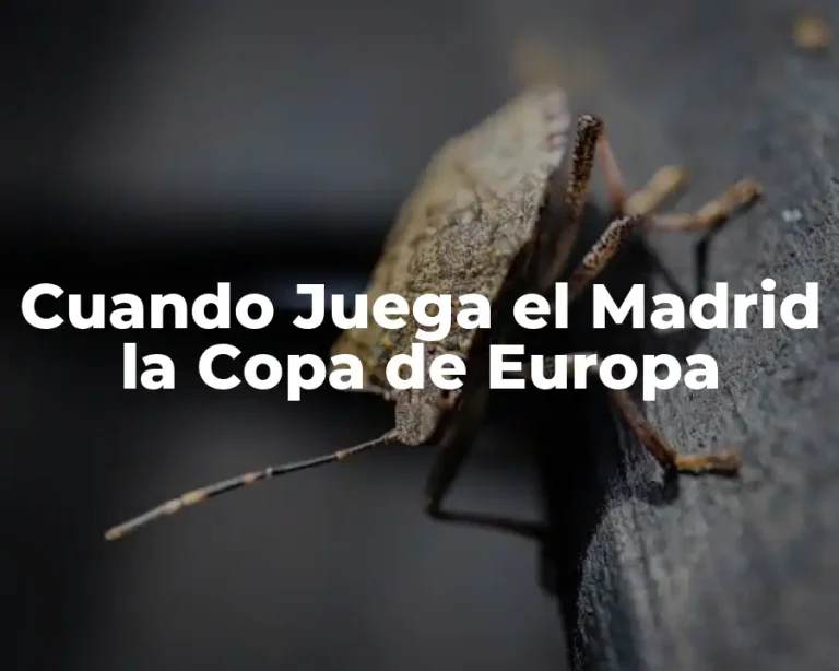 Cuando Juega el Madrid la Copa de Europa