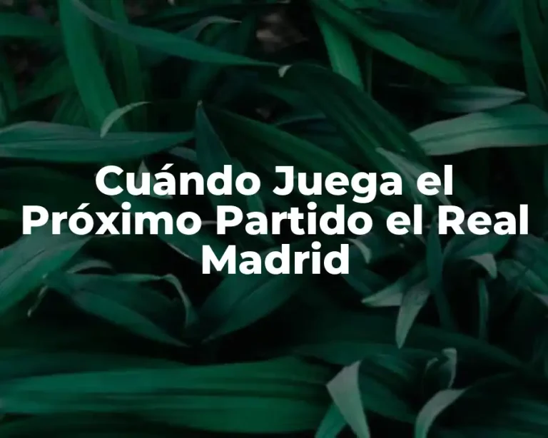 Cuándo Juega el Próximo Partido el Real Madrid