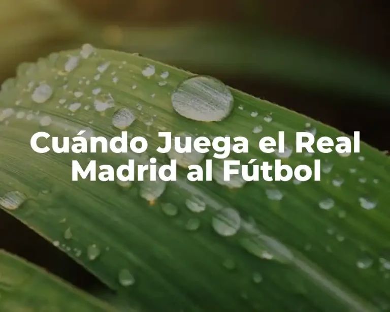 Cuándo Juega el Real Madrid al Fútbol