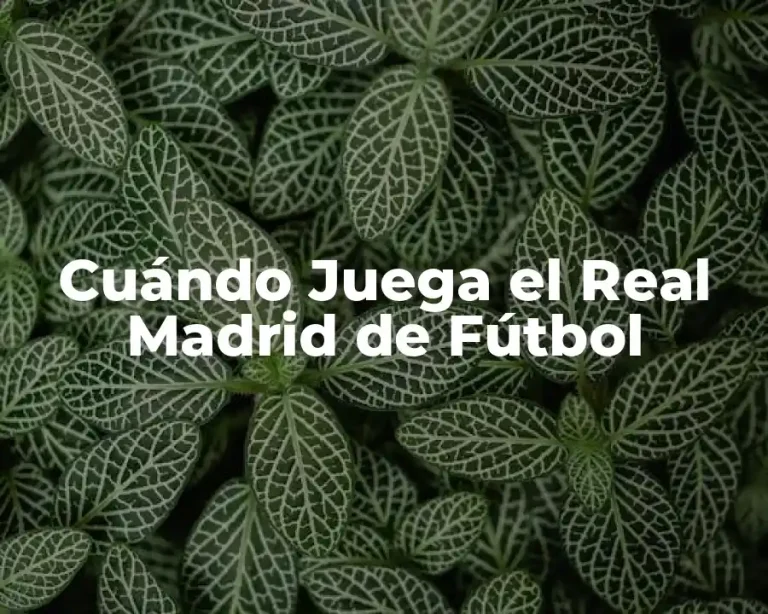 Cuándo Juega el Real Madrid de Fútbol