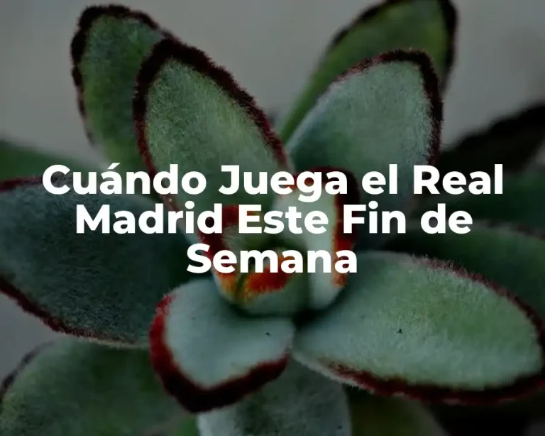 Cuándo Juega el Real Madrid Este Fin de Semana