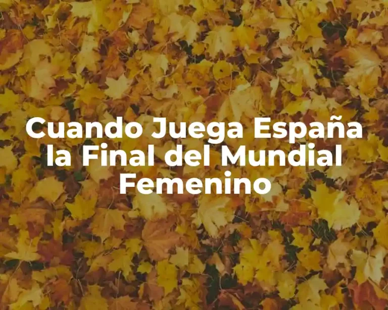 Cuando Juega España la Final del Mundial Femenino