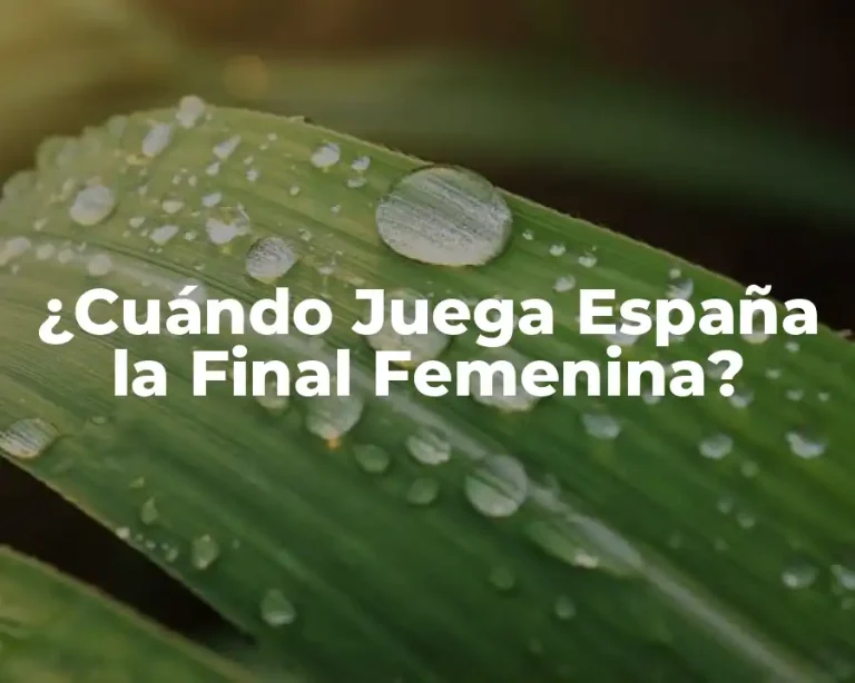 ¿Cuándo Juega España la Final Femenina?