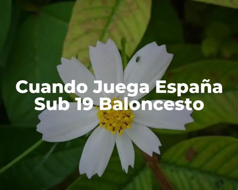 Cuando Juega España Sub 19 Baloncesto