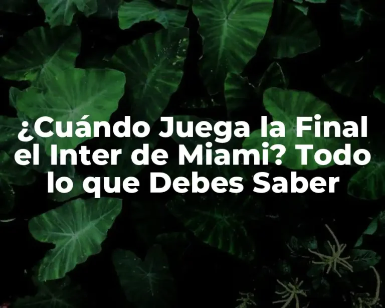¿Cuándo Juega la Final el Inter de Miami? Todo lo que Debes Saber
