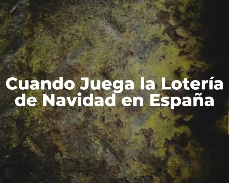 Cuando Juega la Lotería de Navidad en España
