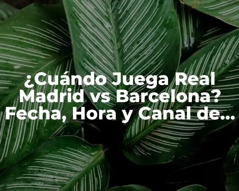 ¿Cuándo Juega Real Madrid vs Barcelona? Fecha, Hora y Canal de Transmisión