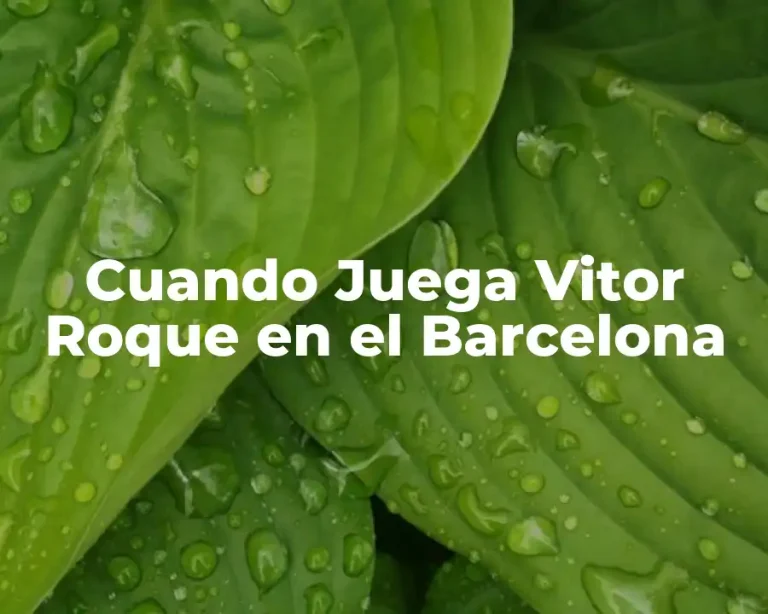 Cuando Juega Vitor Roque en el Barcelona