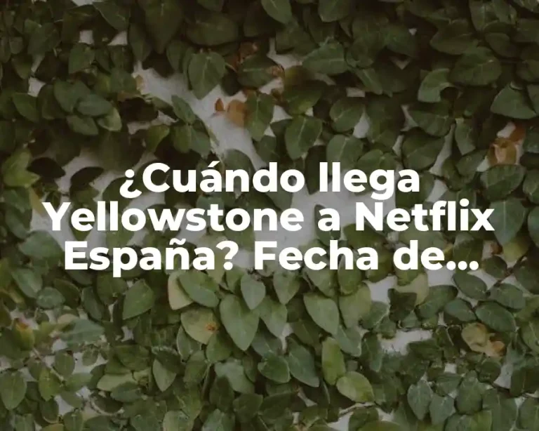 ¿Cuándo llega Yellowstone a Netflix España? Fecha de lanzamiento y detalles