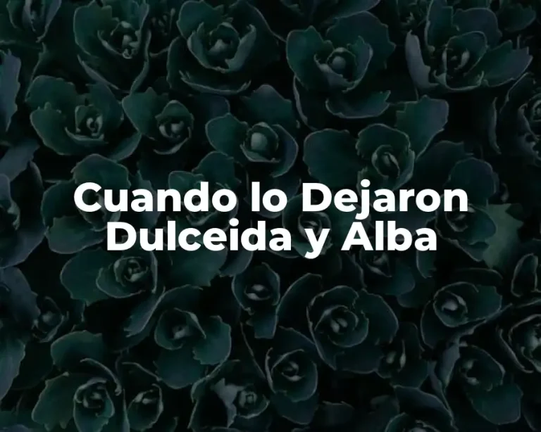 Cuando lo Dejaron Dulceida y Alba