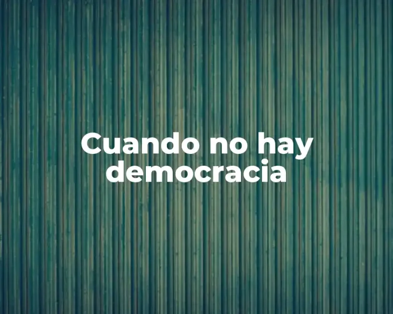 Cuando no hay democracia