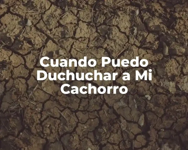 Cuando Puedo Duchuchar a Mi Cachorro