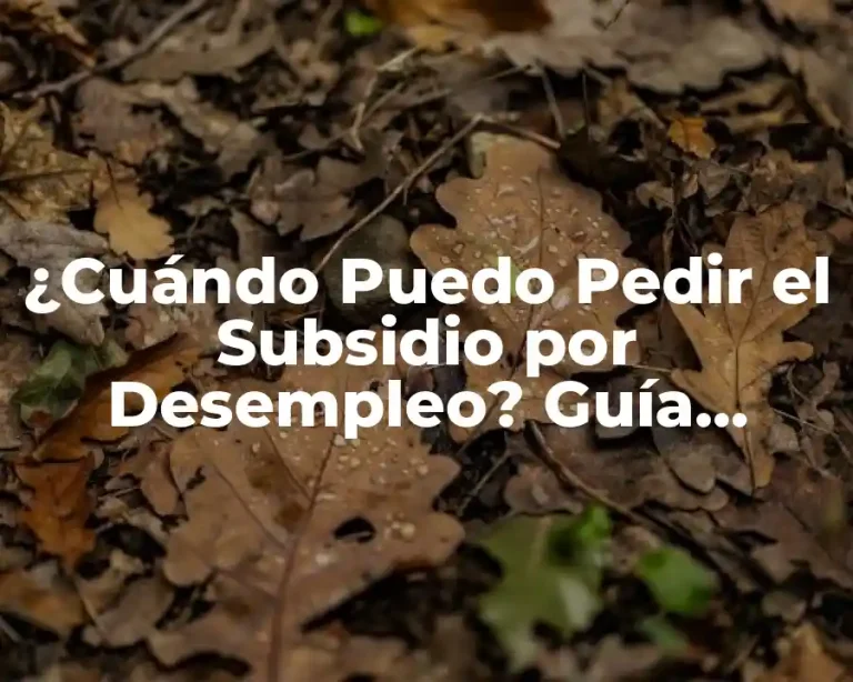 ¿Cuándo Puedo Pedir el Subsidio por Desempleo? Guía Completa y Actualizada